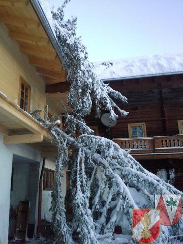 Schneeschaden Oberronebach 2013_02
